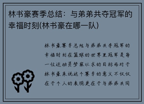 林书豪赛季总结：与弟弟共夺冠军的幸福时刻(林书豪在哪一队)