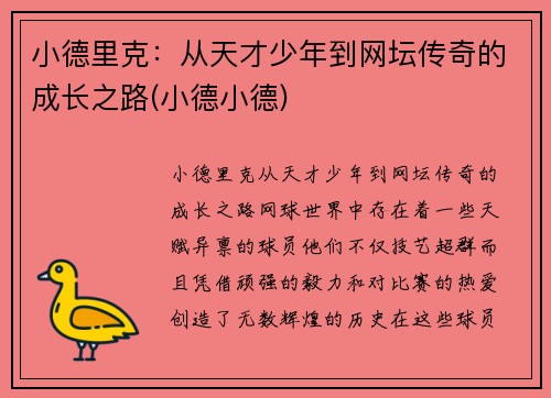小德里克：从天才少年到网坛传奇的成长之路(小德小德)
