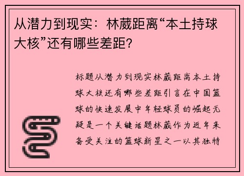 从潜力到现实：林葳距离“本土持球大核”还有哪些差距？