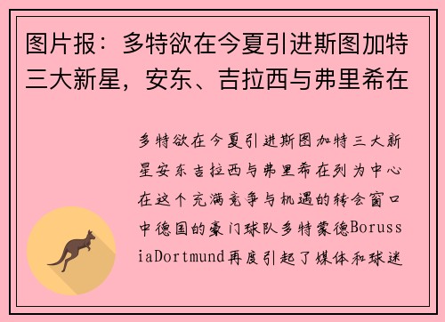 图片报：多特欲在今夏引进斯图加特三大新星，安东、吉拉西与弗里希在列