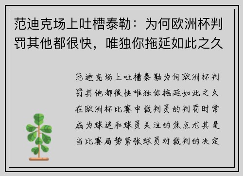 范迪克场上吐槽泰勒：为何欧洲杯判罚其他都很快，唯独你拖延如此之久？