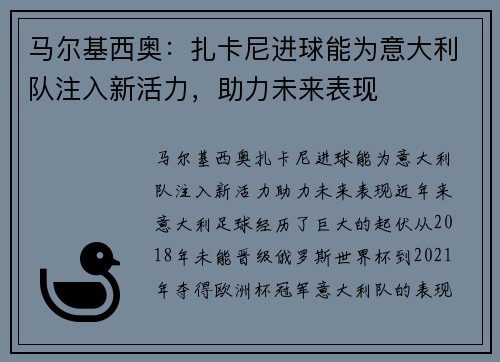 马尔基西奥：扎卡尼进球能为意大利队注入新活力，助力未来表现