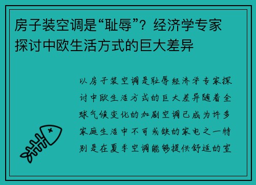 房子装空调是“耻辱”？经济学专家探讨中欧生活方式的巨大差异